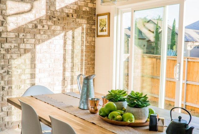 Tuinverzorging 101: Praktische Adviezen voor een Gezonde Plantenwereld